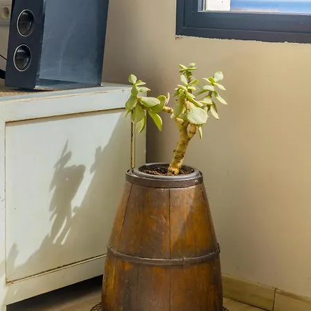 Apartamento Mar De Sal Teguise (Lanzarote)